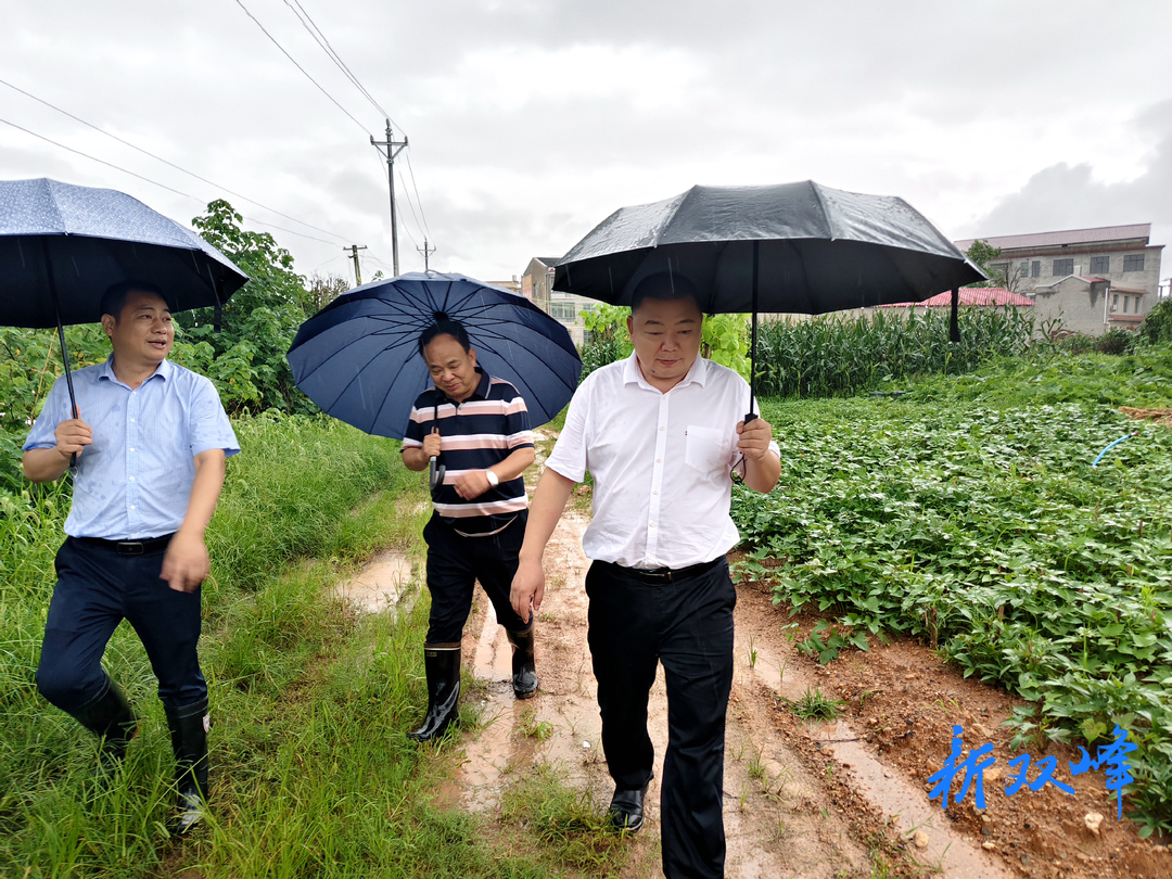 李伟世到梓门桥镇督导防汛抗灾等工作