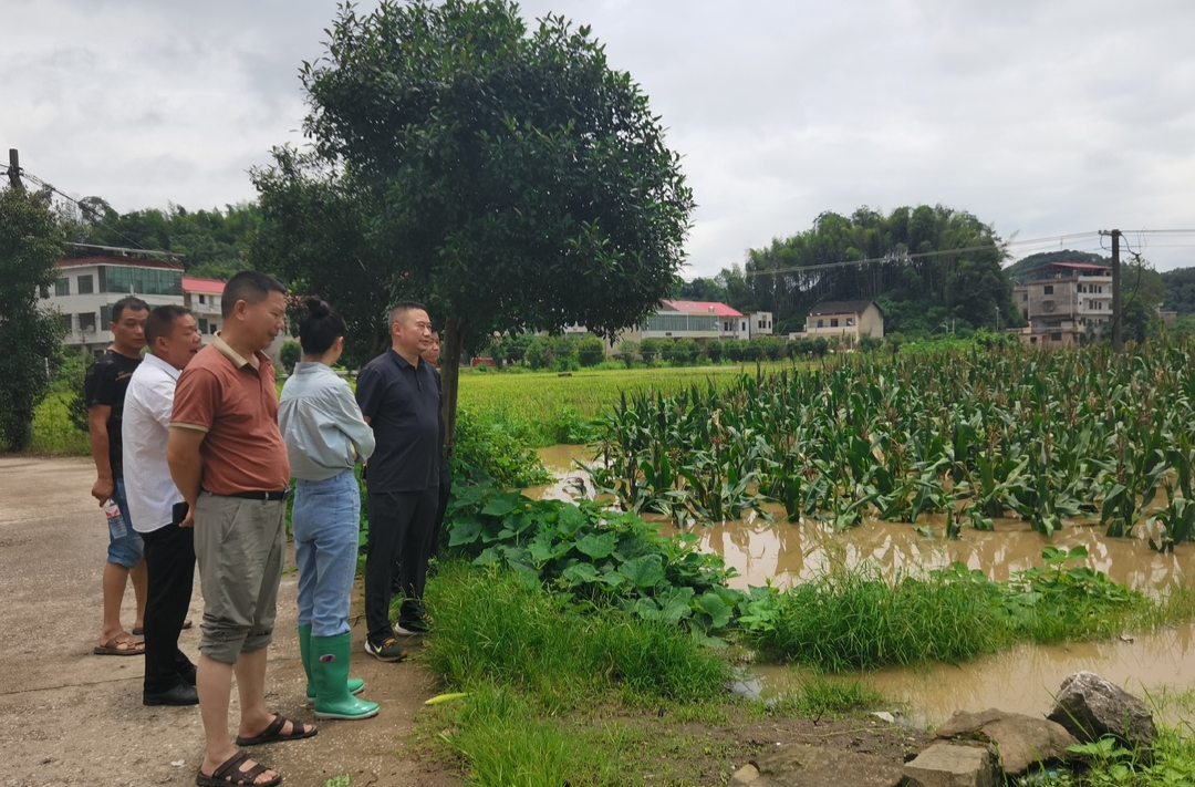 闻“汛”而动：县农业农村局派出八个技术服务组开展灾情调查和技术指导