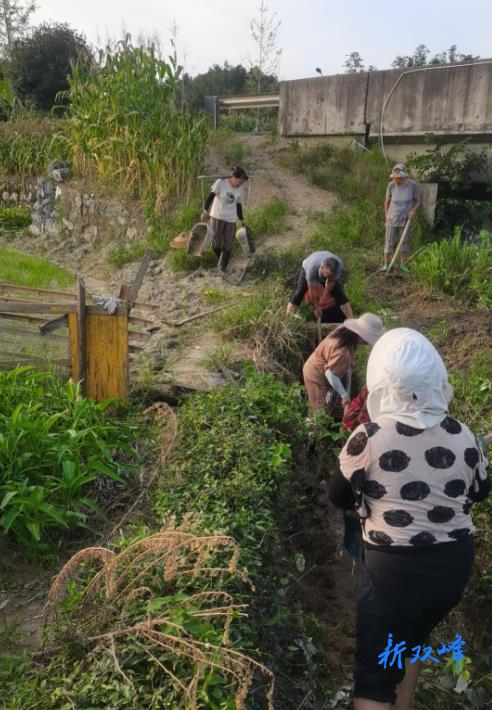 沙塘乡沙坪村群众自发修建水渠