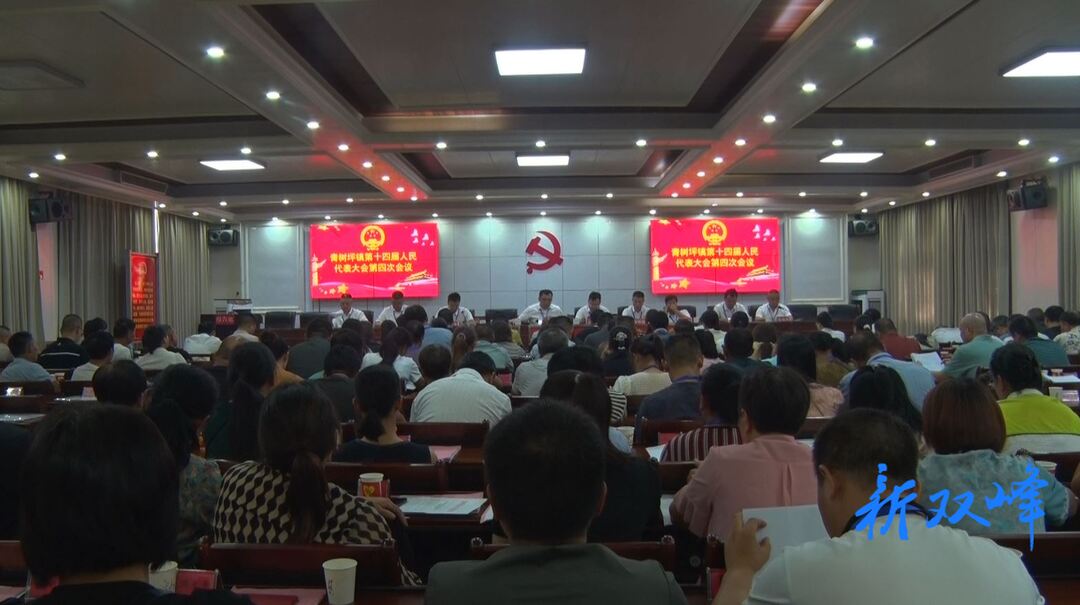 青树坪镇第十四届人民代表大会第四次会议召开