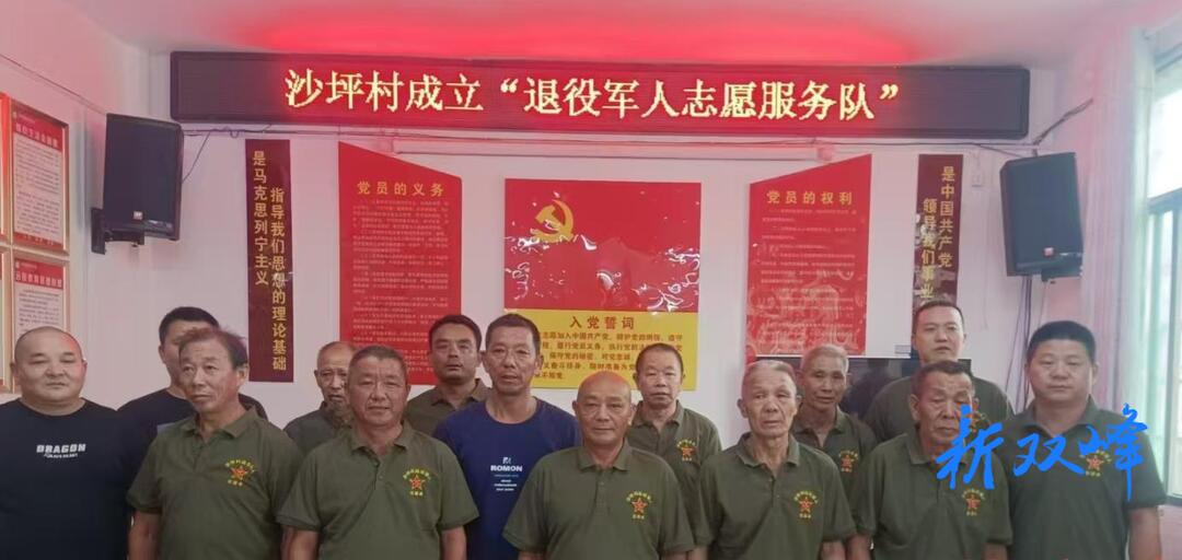 沙塘乡沙坪村成立退役军人志愿服务队