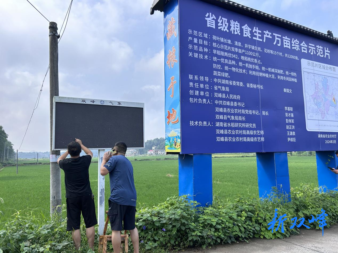 气象为农服务 助力省级粮食生产万亩综合示范片