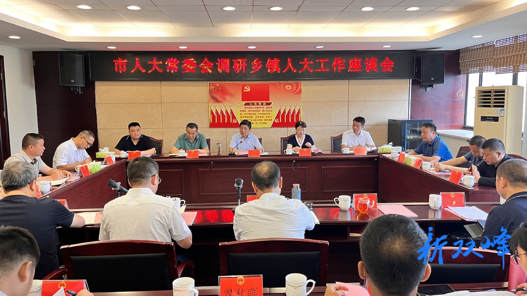 戴德清来双峰县调研乡镇人大工作