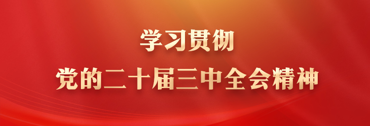 学习贯彻党的二十届三中全会精神