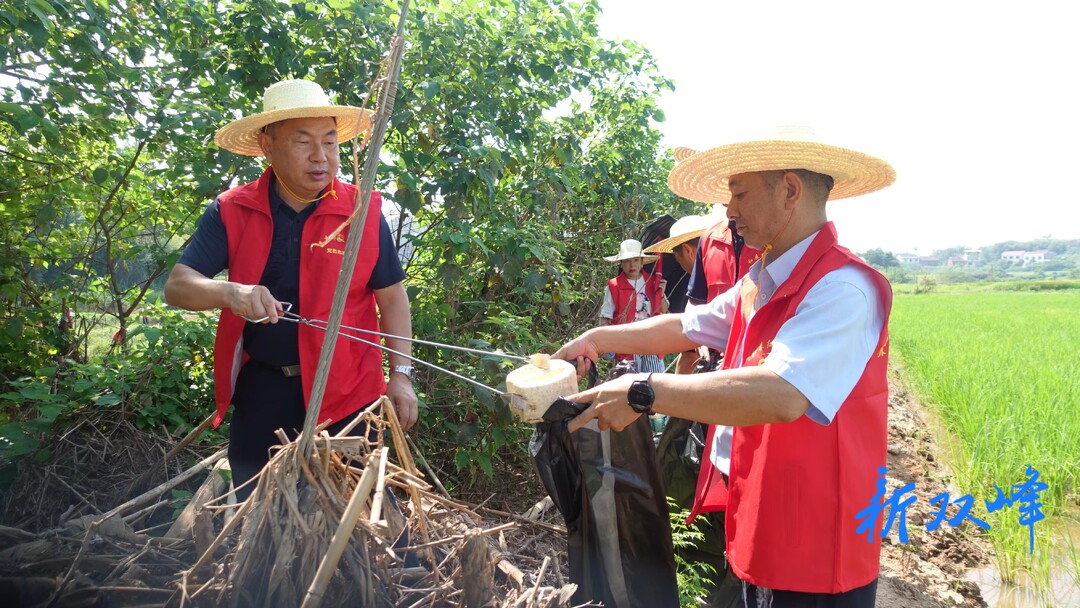 青树坪镇：四级携手 守护幸福河湖、扮靓碧水蓝天