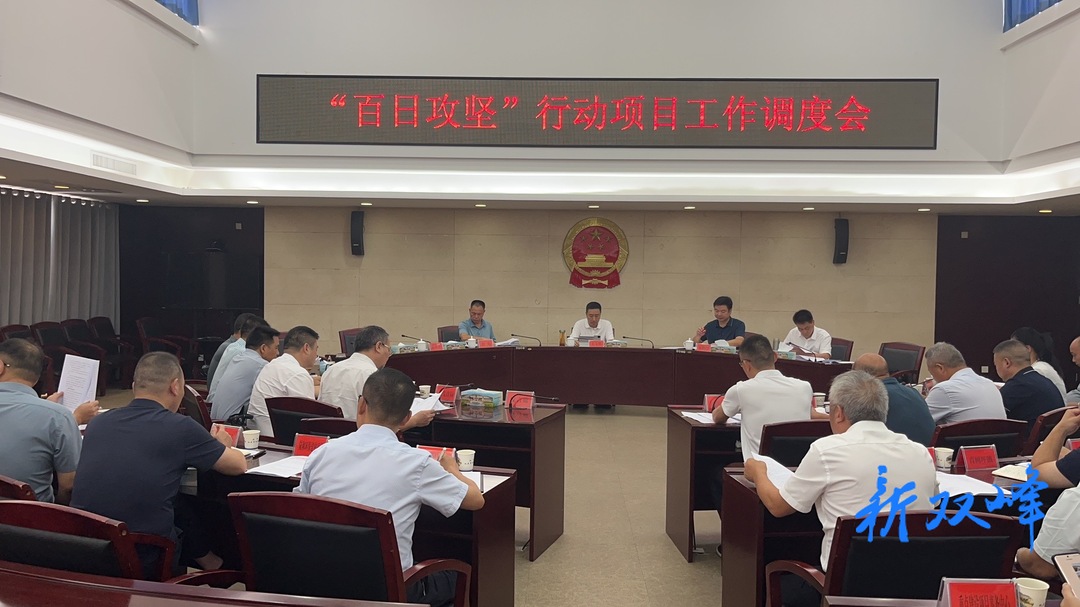 王文红调度全县“百日攻坚”行动项目工作