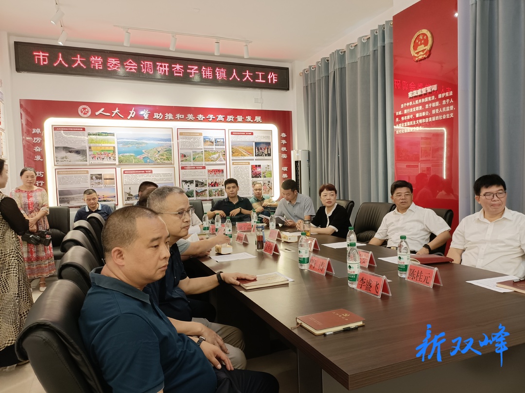 戴德清到杏子铺镇调研人大工作并走访联系人大代表