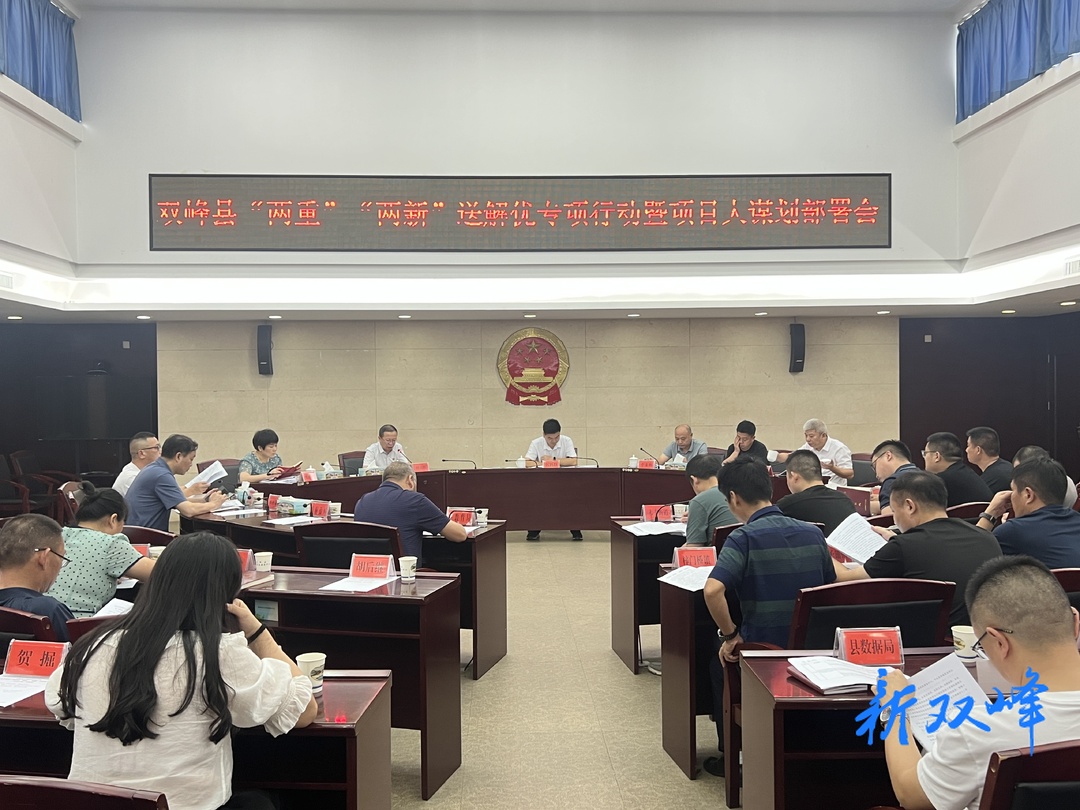 双峰县召开“两重”“两新”送解优专项行动工作暨项目大谋划动员部署会