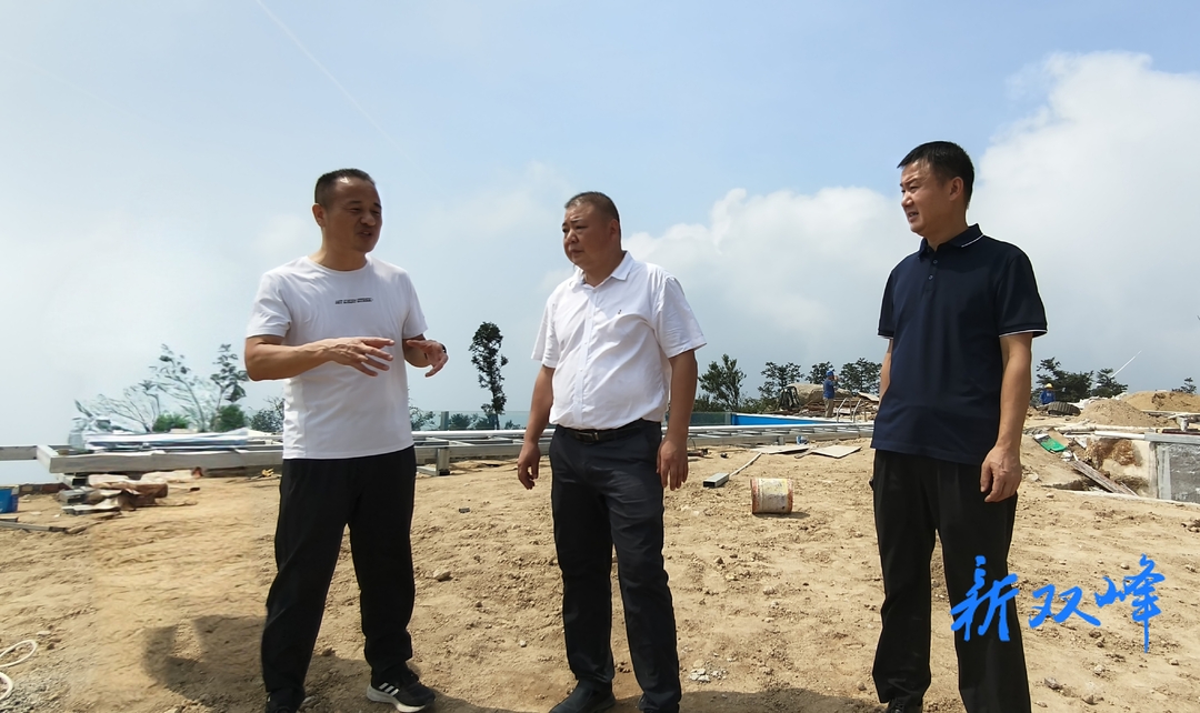 李伟世督导巡视巡察整改工作