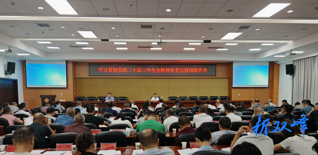 学习贯彻党的二十届三中全会精神市委宣讲团报告会在双峰举行