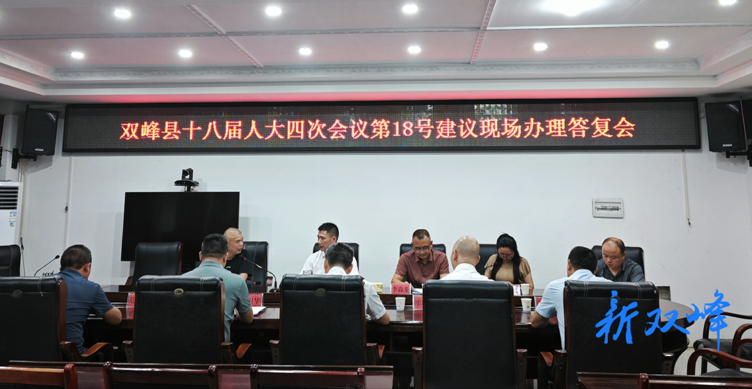 县领导带队到石牛乡现场办理并答复代表建议