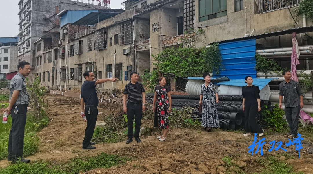 洪山殿镇政协委员工作室开展“委员活动日”活动