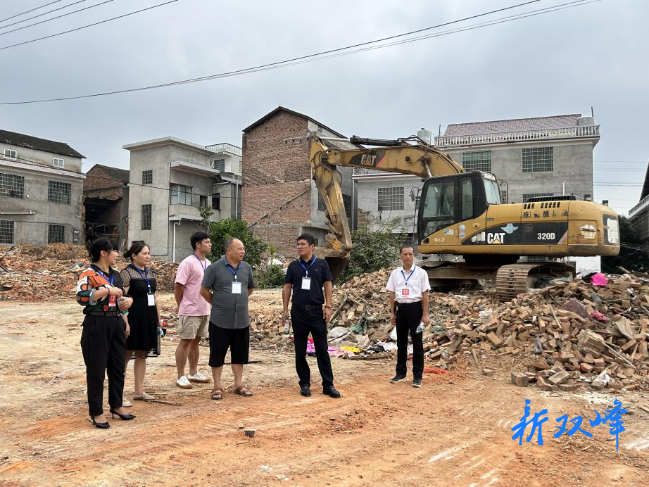 洪山殿镇人大：视察民生实事项目，筑起幸福连心桥