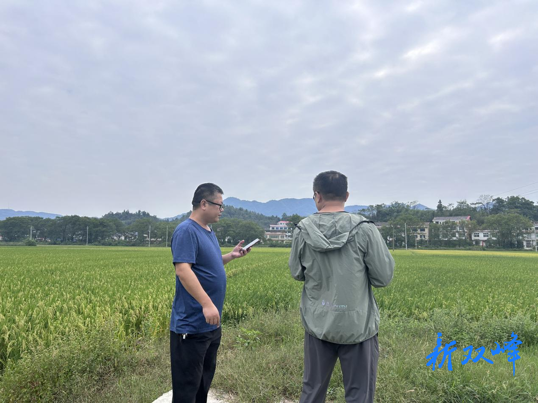双峰县气象局开展2024年高标准农田农业气象站建设选址规划工作