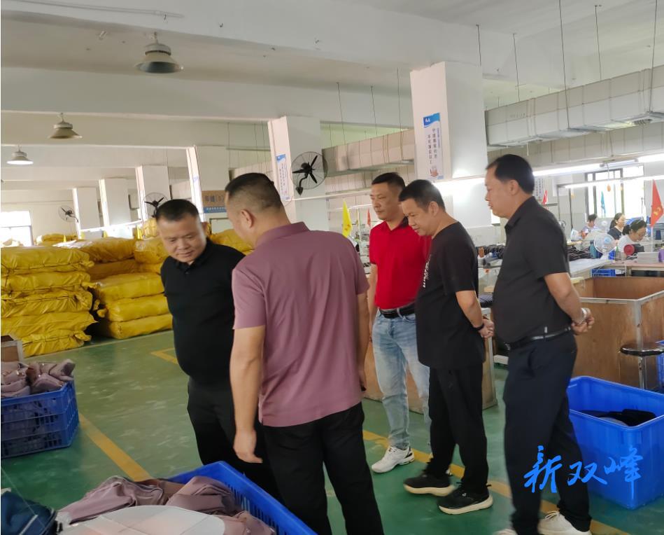 走马街镇委员活动日：凝聚智慧，共绘发展新画卷