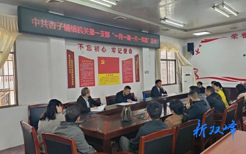 杏子铺镇：建好党建主阵地，让党员教育“实起来”