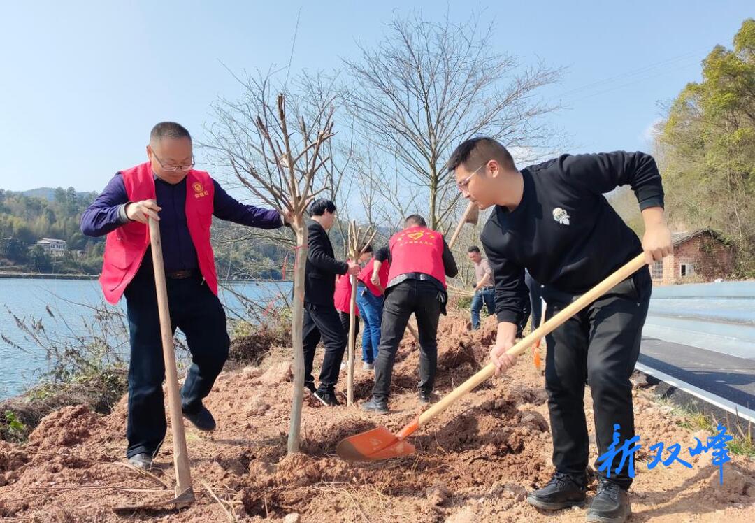 杏子铺镇：党建引领 筑牢生态安全屏障