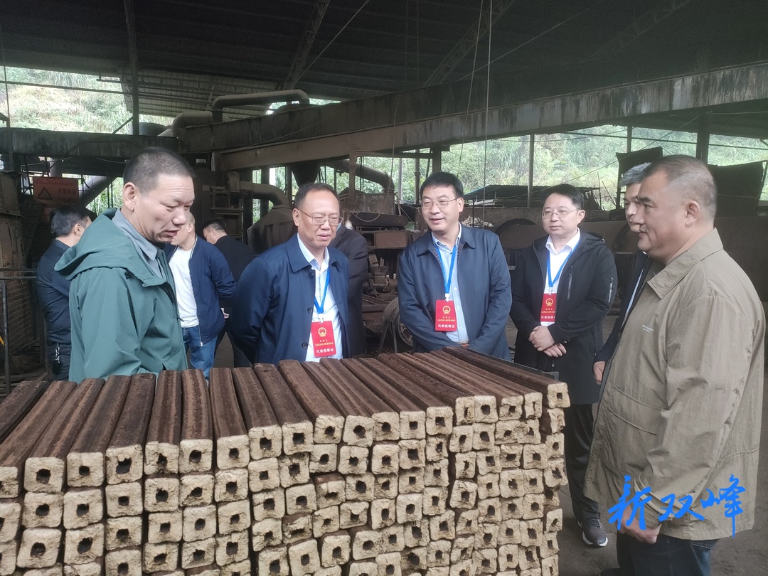 娄底市第六届人大代表双峰第六小组到石牛乡开展主题活动