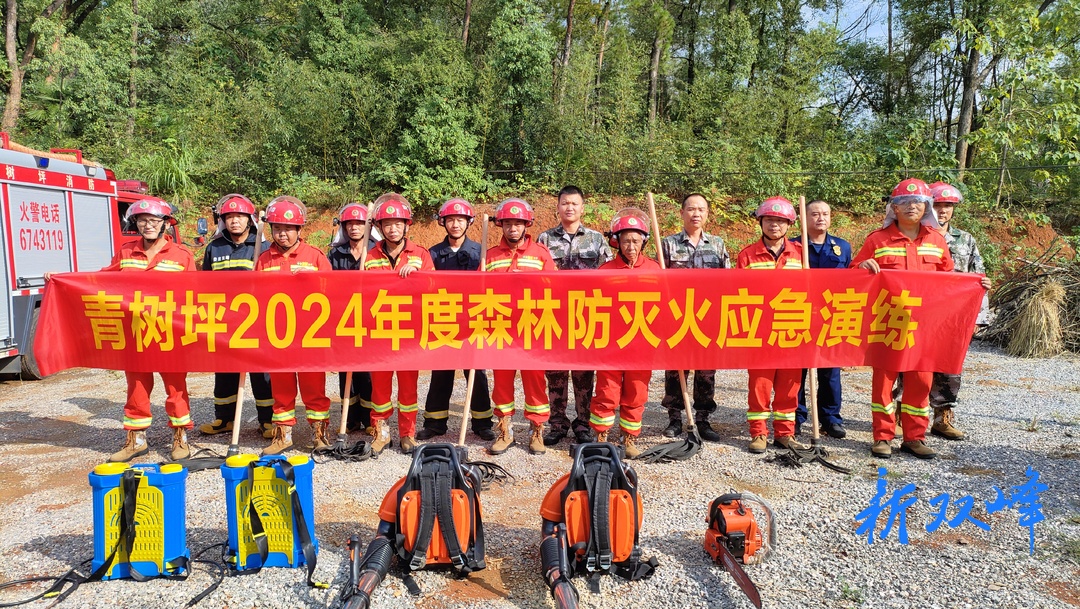 青树坪镇举行森林防灭火应急演练