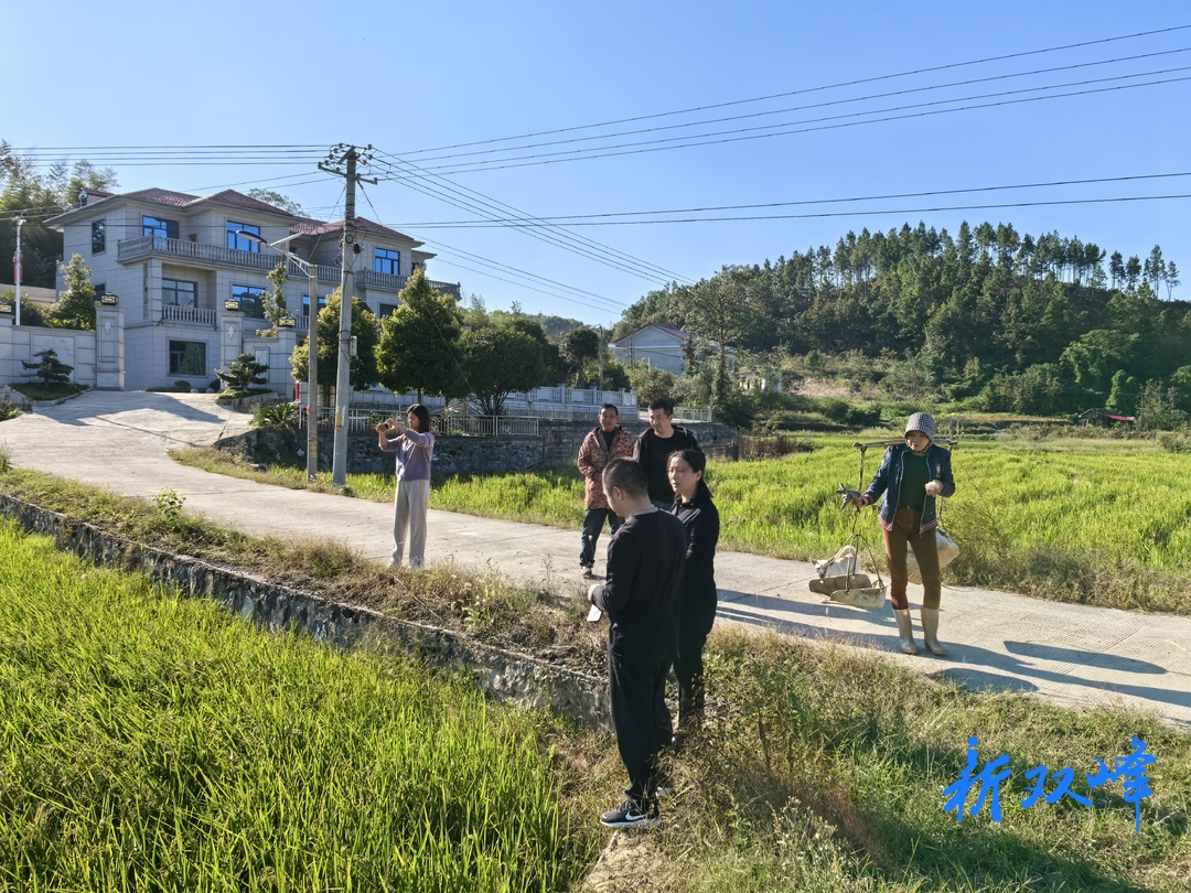 自然灾害无情，农业保险有爱