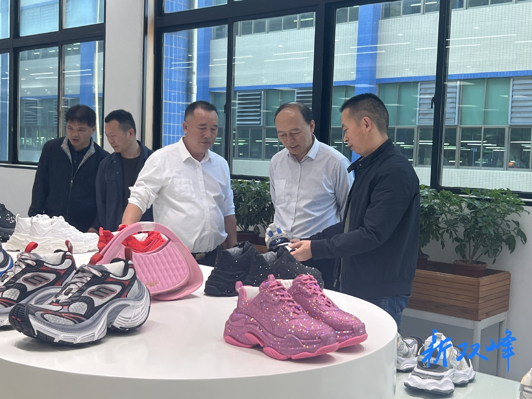省委台办来双峰调研台资工业园建设情况