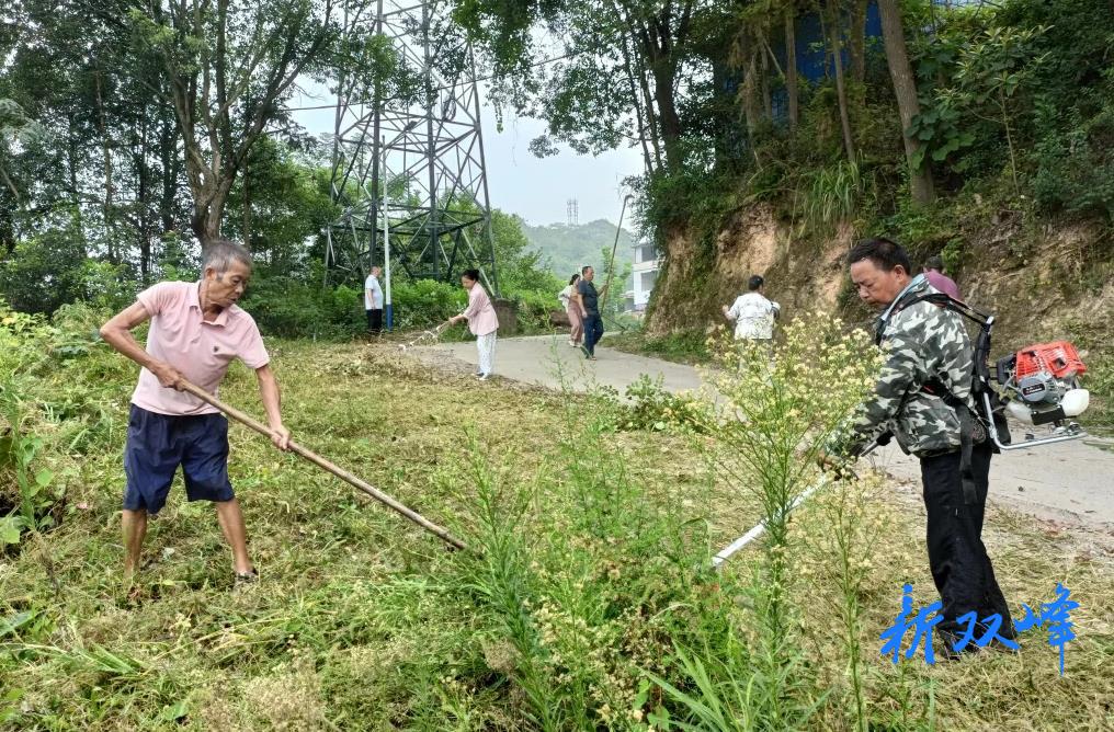 杏子铺镇：掀起秋季人居环境综合整治热潮