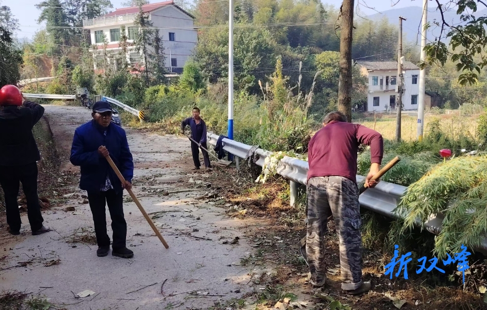 沙塘乡善塘村：群众自发清除路边杂草，扮靓乡村容颜