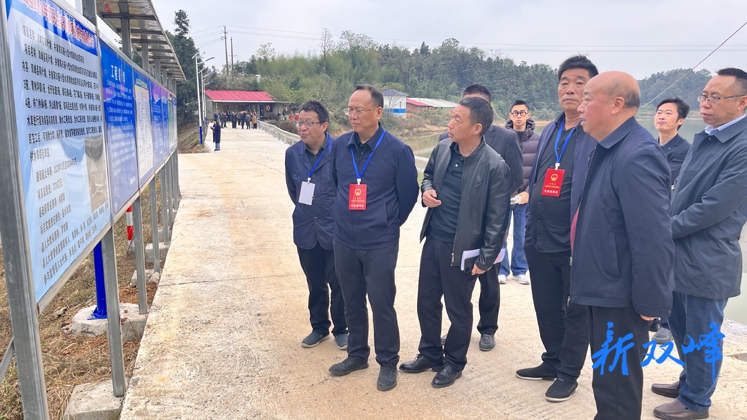 双峰县人大常委会开展2024年县人大代表票决民生实事项目视察