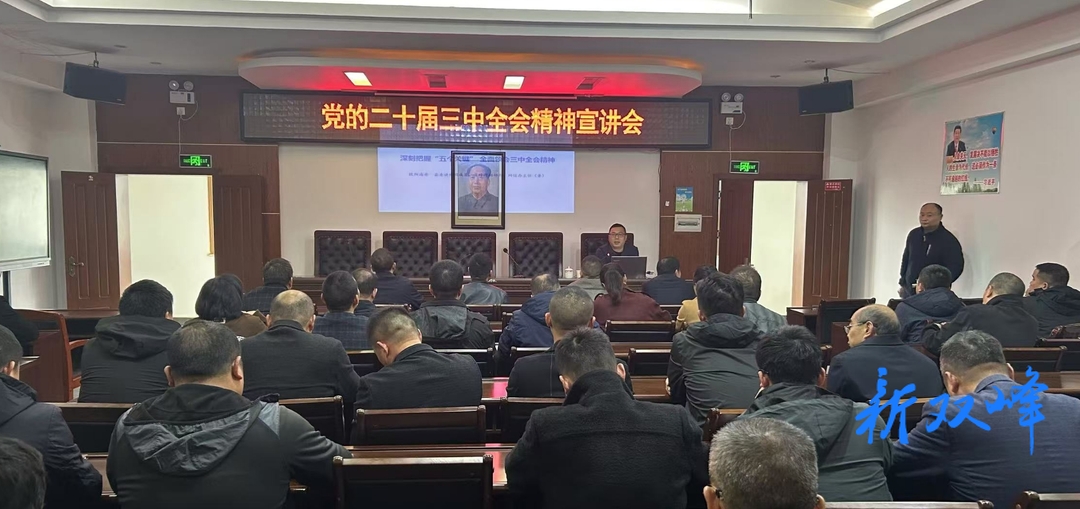 双峰县应急管理局深入学习贯彻党的二十届三中全会精神