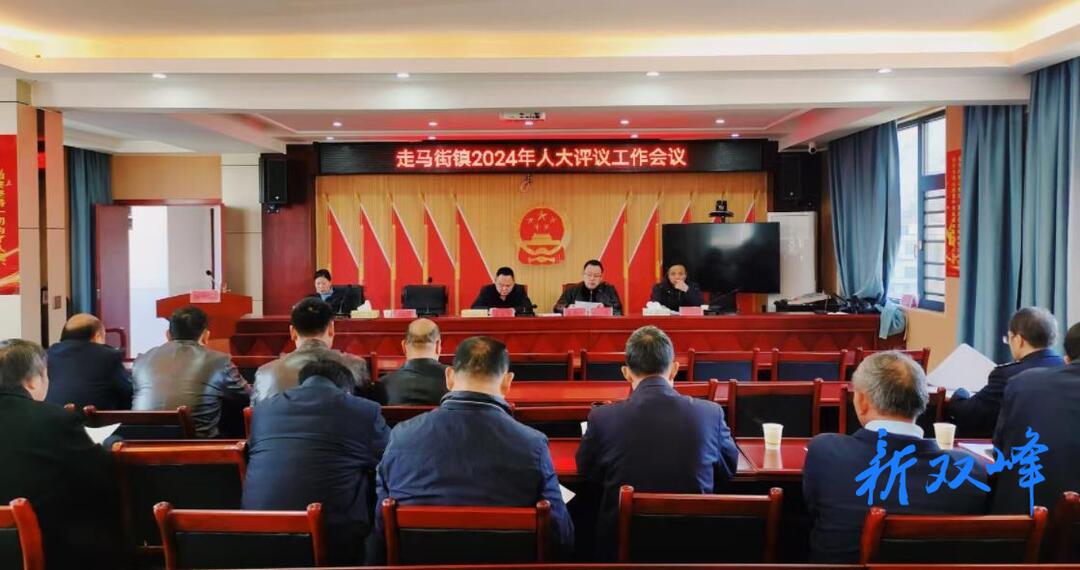 走马街镇开展人大评议  推动部门工作再上新台阶