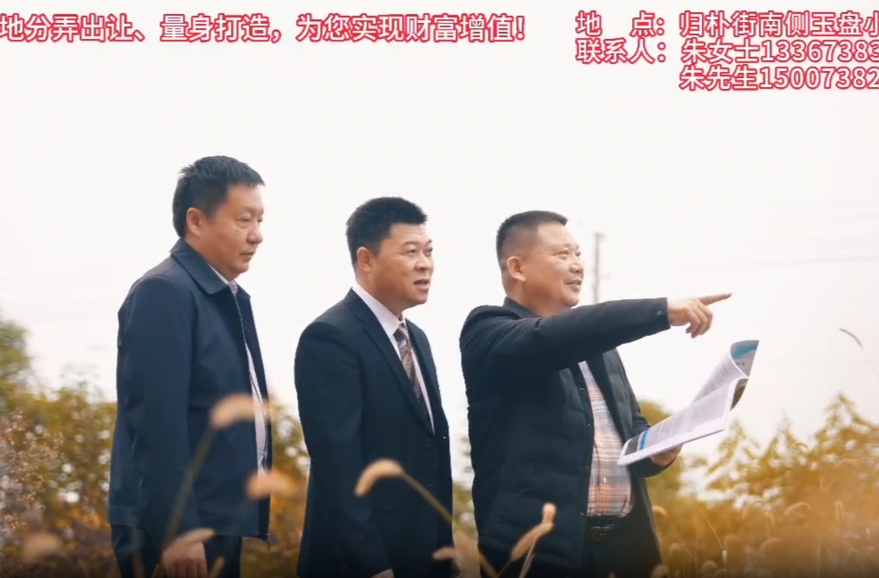 双峰县城国有土地分弄出让