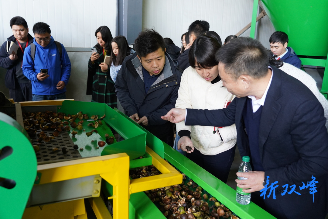 高质量发展调研行：深耕丘陵山地 农机产业链新跨越