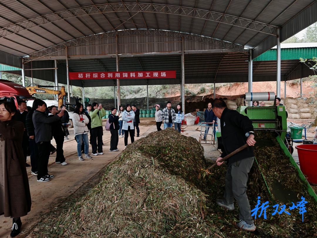 贺俊青：农业机械化助力合作社提质增效