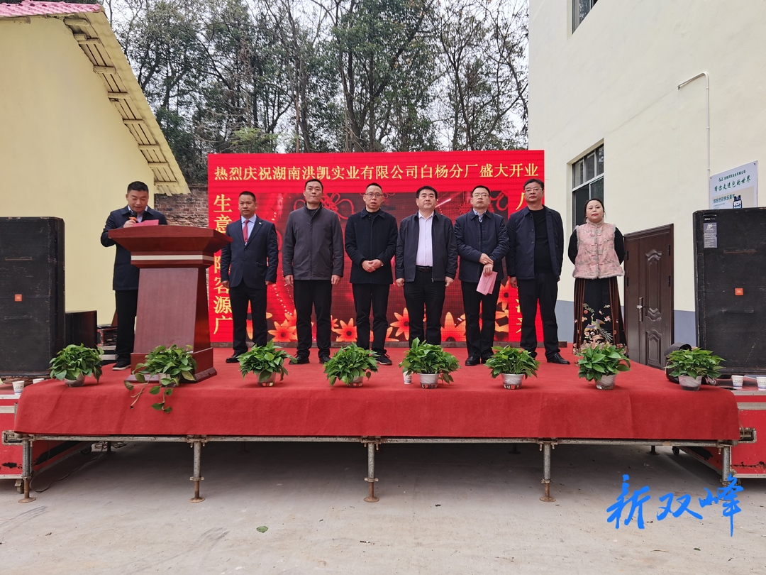 湖南洪凯实业有限公司白杨分厂正式开工