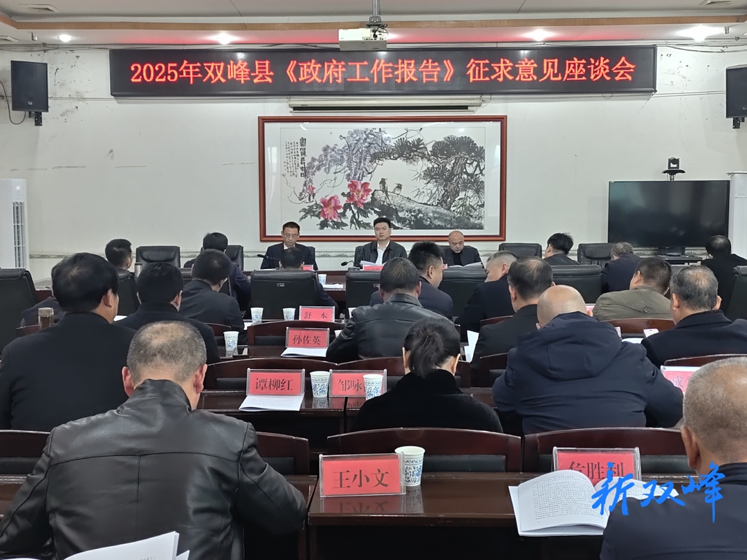 县领导到乡镇街道征求《政府工作报告》意见建议