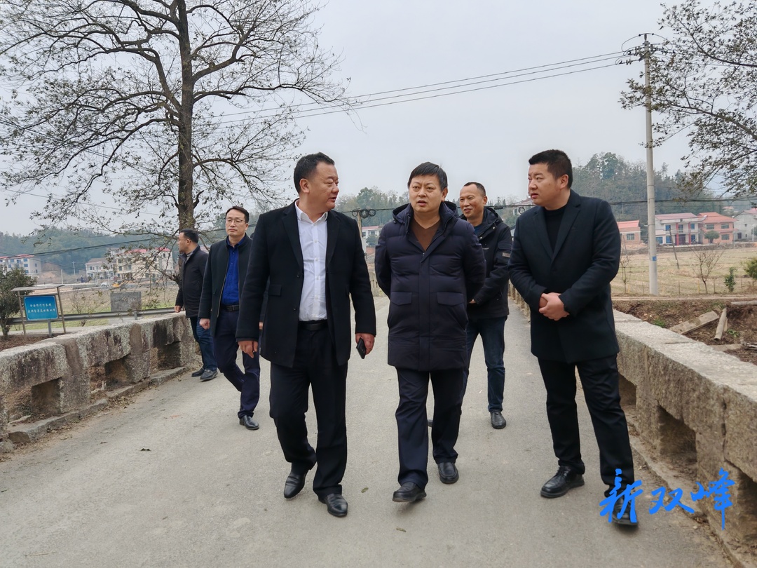 曾晴川到荷叶镇清泉村调研全省“五好”乡村建设试点工作