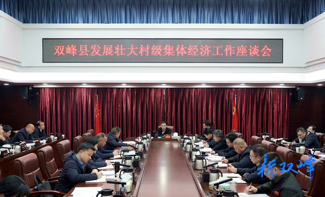 李基联主持召开双峰县发展壮大村级集体经济工作座谈会