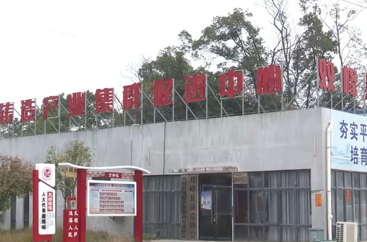 招引项目入乡入村 盘活闲置资源资产⑥|三塘铺镇：以“铸”为基，多元经营携同推进，集体经济势头喜人