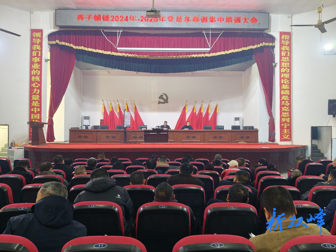 杏子铺镇：党员冬春训“入心”“走实”