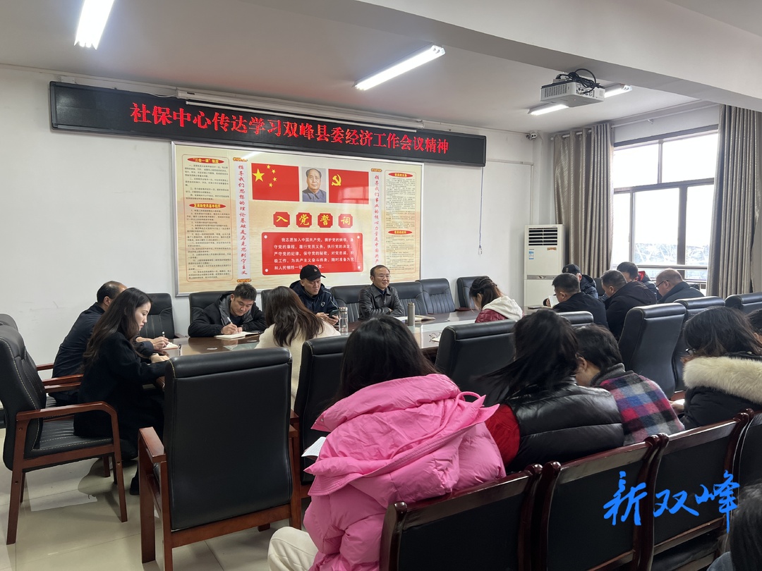 双峰县社保中心传达学习贯彻县委经济工作会议精神