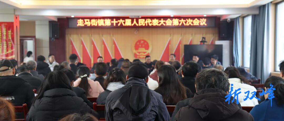 走马街镇召开第十六届人民代表大会第六次会议