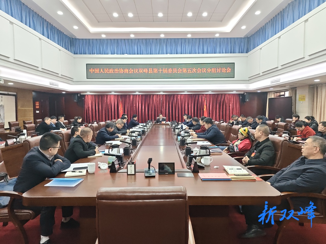 政协双峰县十届五次会议举行分组讨论
