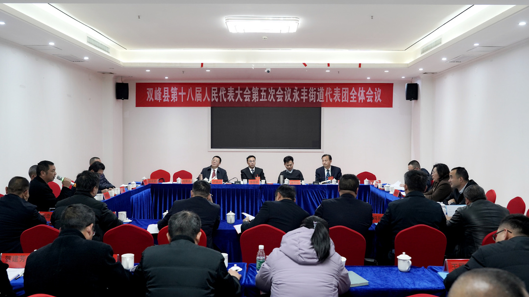 县人大代表分组讨论审议政府工作报告及相关报告