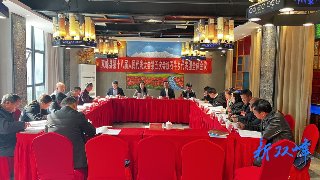 人大代表分组审议县人大常委会及“两院”工作报告