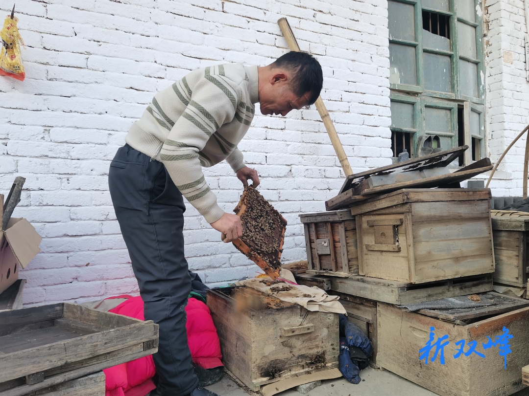 招引项目入乡入村 盘活闲置资源资产⑩｜荷叶镇：蜂舞果香鱼满塘 奏响致富新乐章