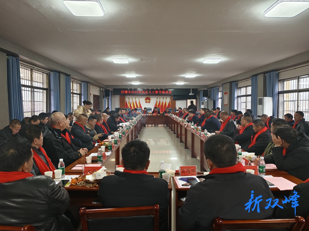 沙塘乡召开返乡知名人士春节座谈会：共商发展，凝聚力量