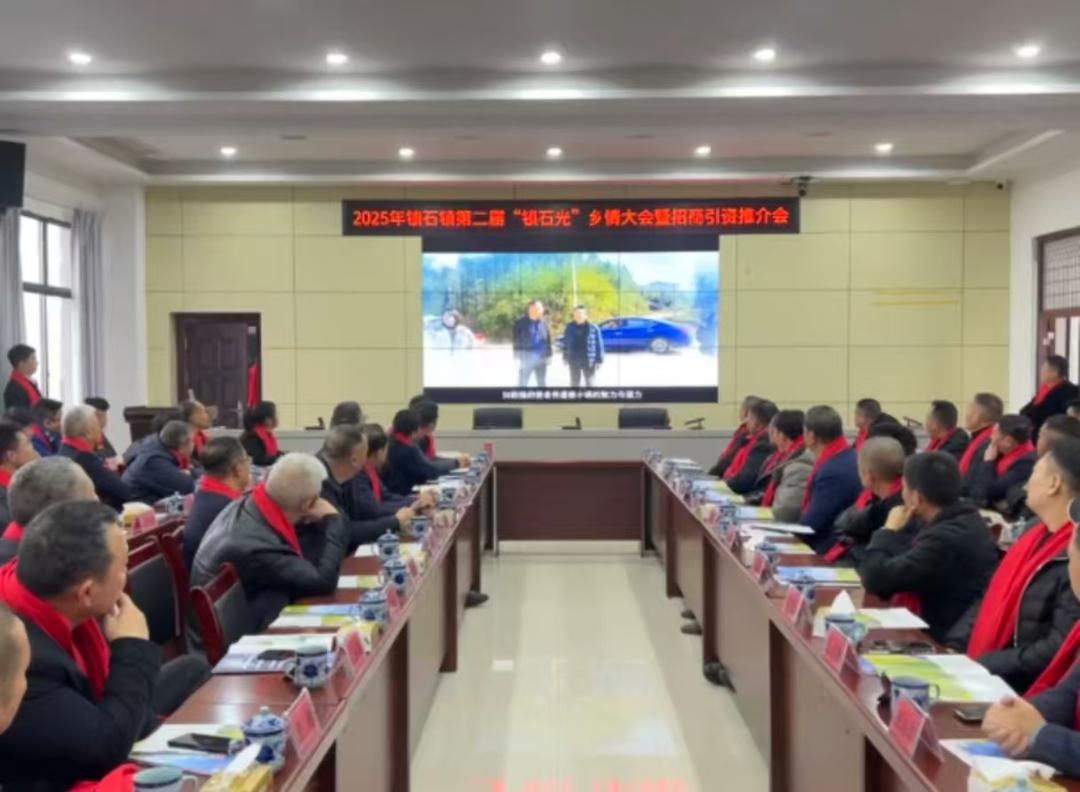 锁石镇举行2025年第二届“锁石光”乡情大会暨招商引资推介会