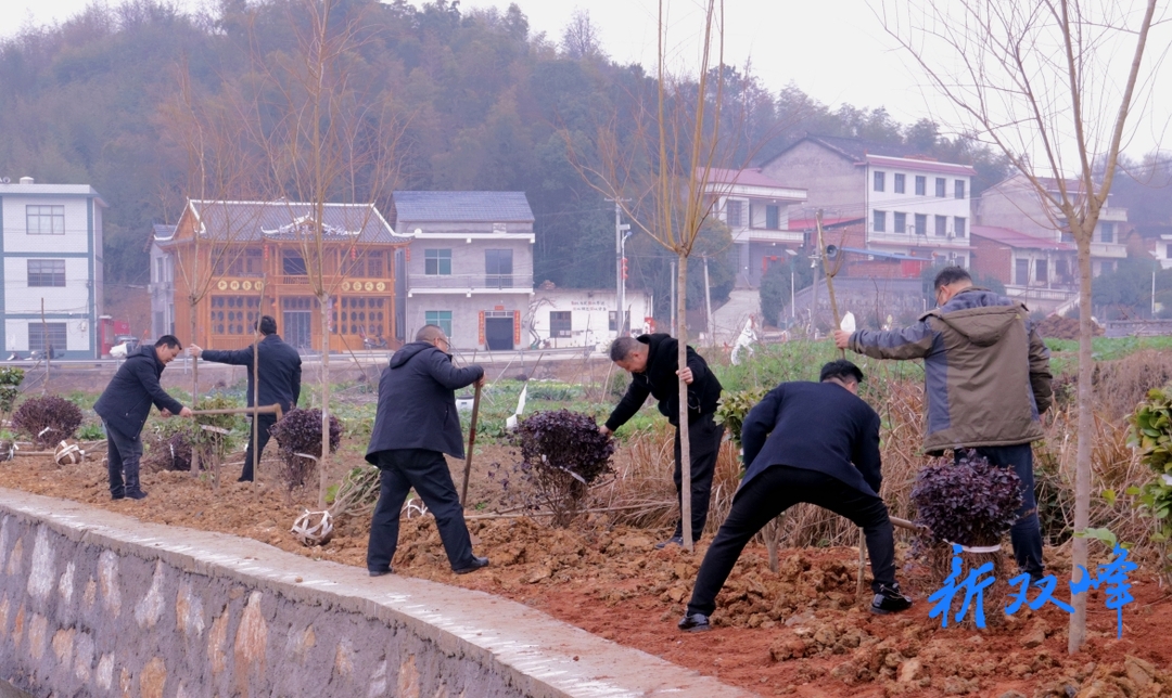 印塘乡：节后义务植树忙，共建绿色新家园