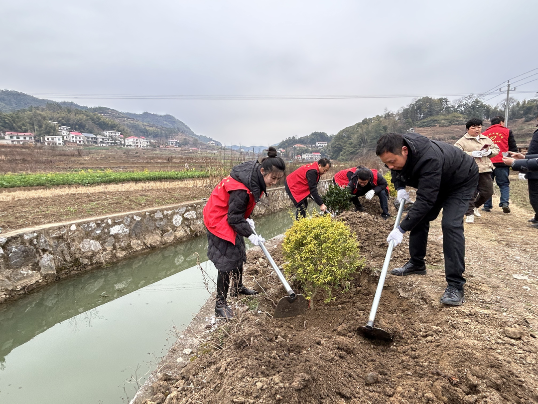 春意增新，植此青绿 ——洪山殿镇开展2025年义务植树活动