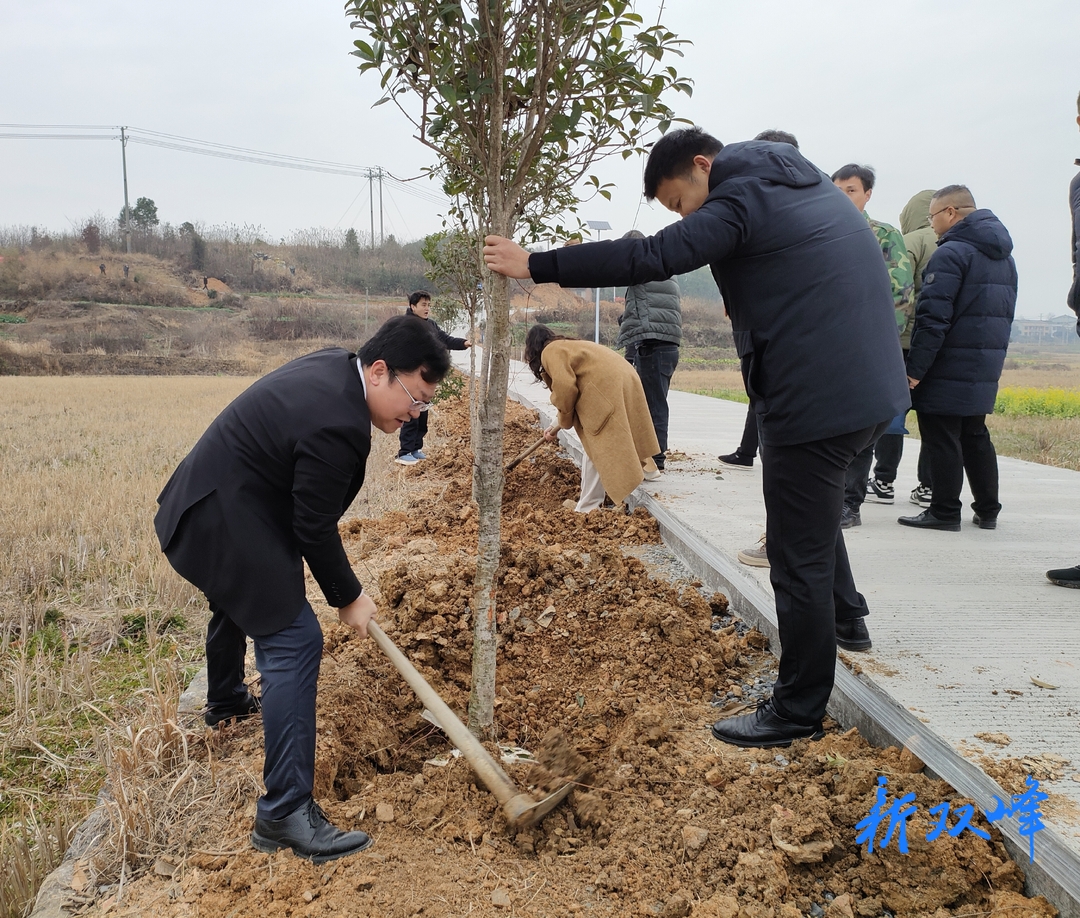青树坪镇开展植树活动 助力乡村振兴